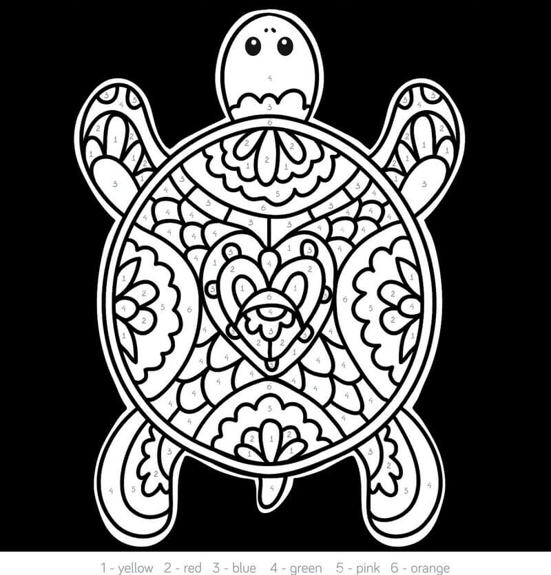 I love Turtle color by number Color By Number