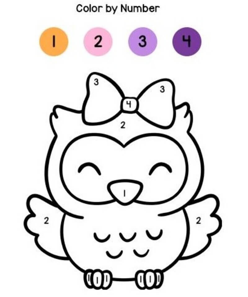 Lovely Owl color by number