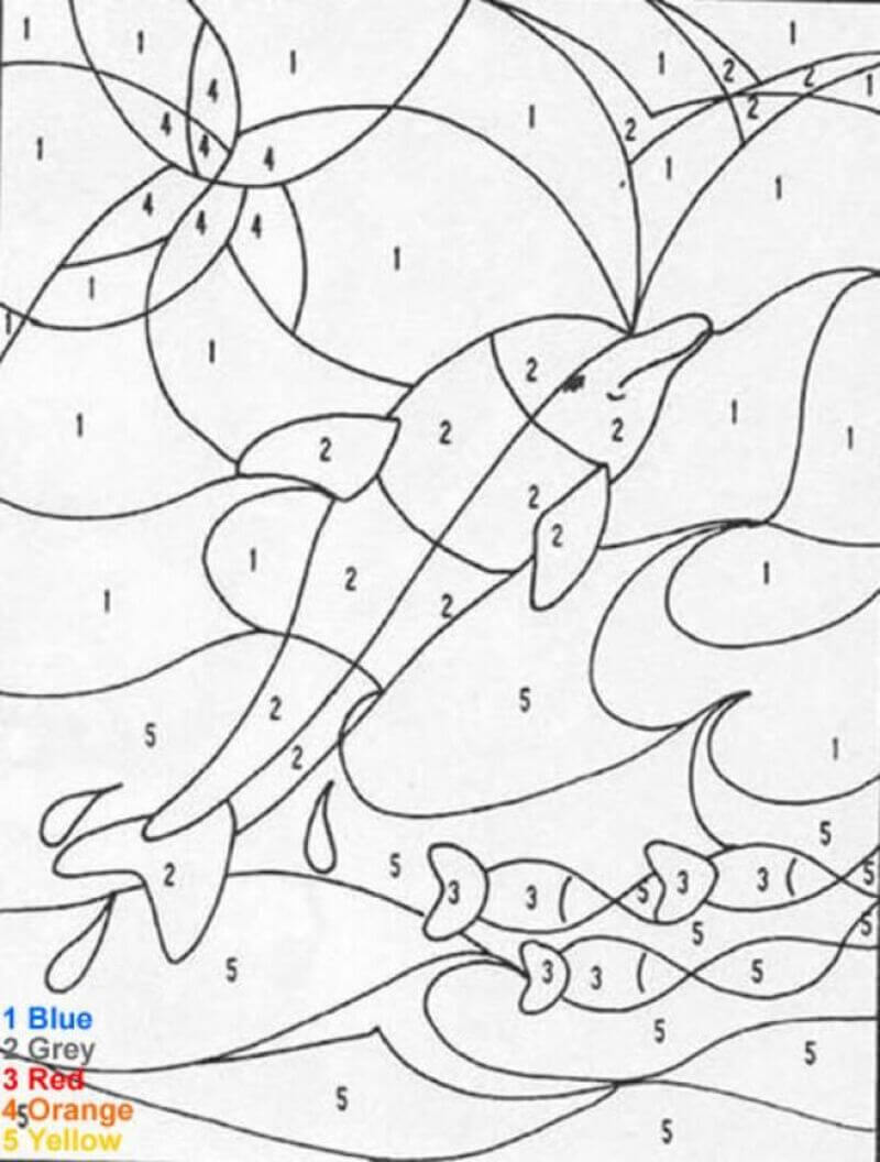 Normal Dolphin color by number