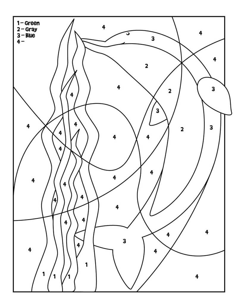 Ocean Dolphin color by number