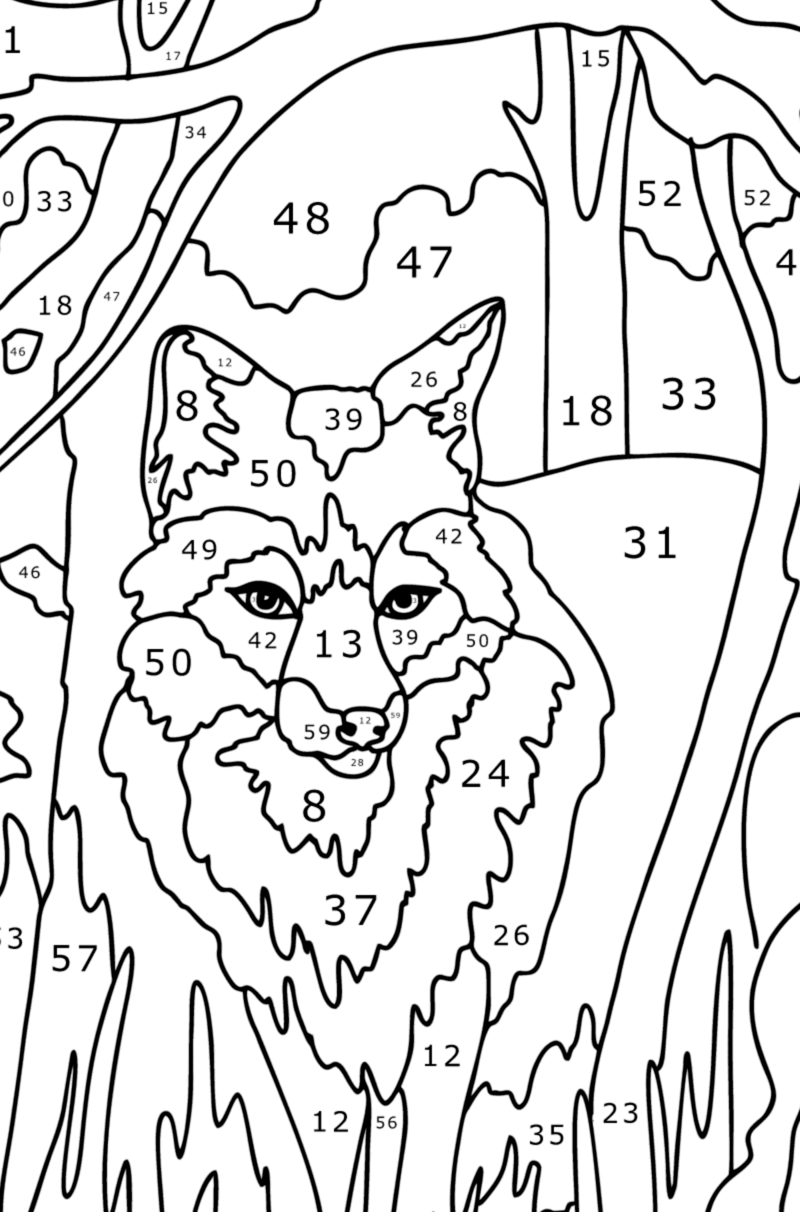 Old Wolf in the forest color by number