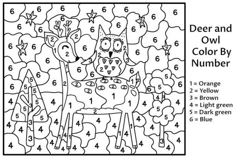 Owl and Deer color by number