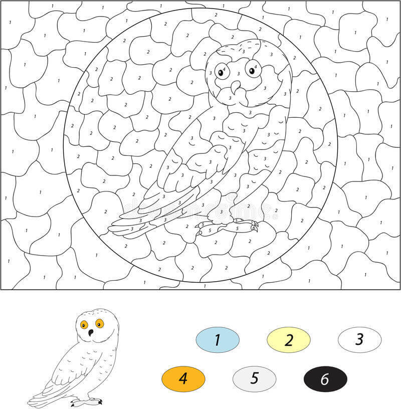 Polar Owl color by number
