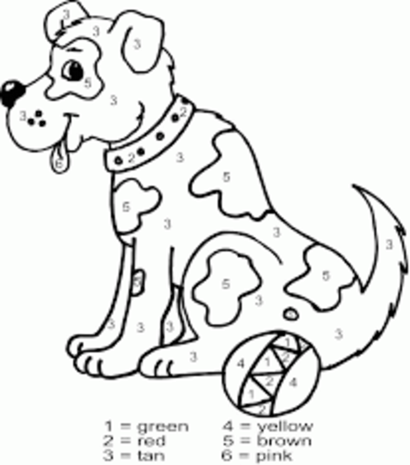 Puppy is playing with the ball color by number