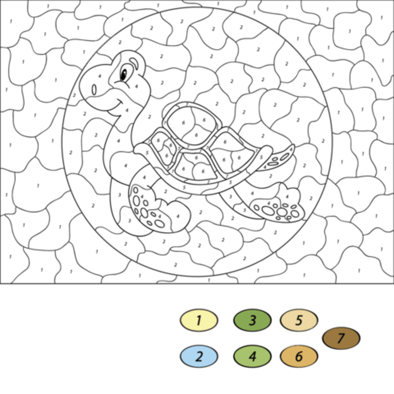 Turtle Color By Number