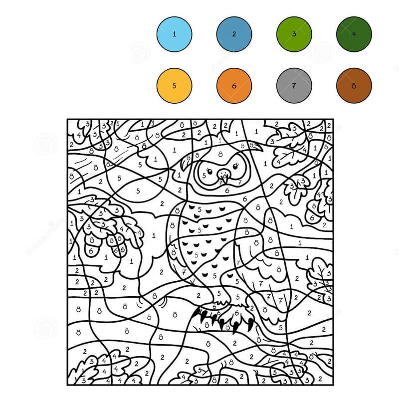 Simple owl color by number