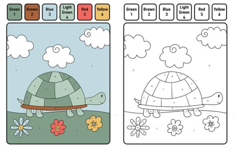 Turtle and Flowers color by number Color By Number