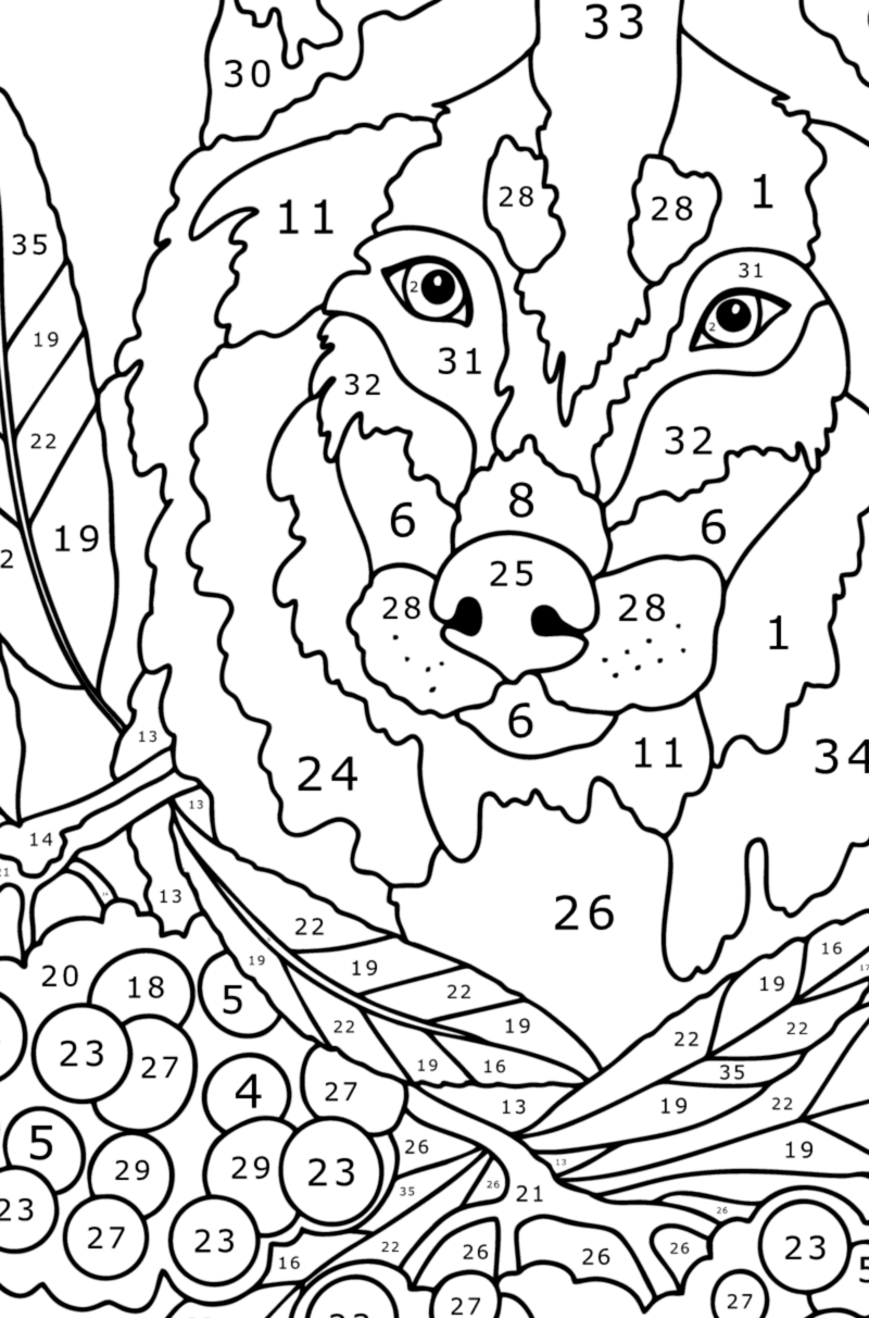 Wolf Antistress color by number