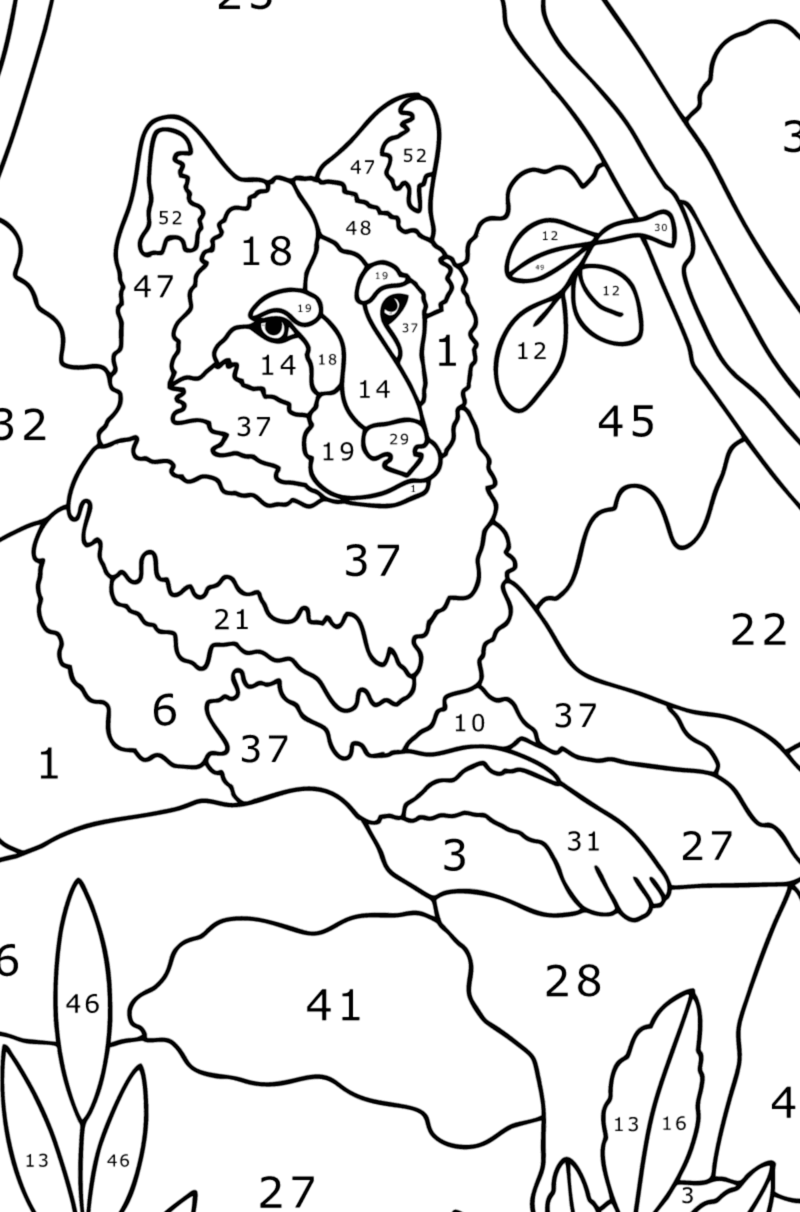 Wolf is sitting color by number