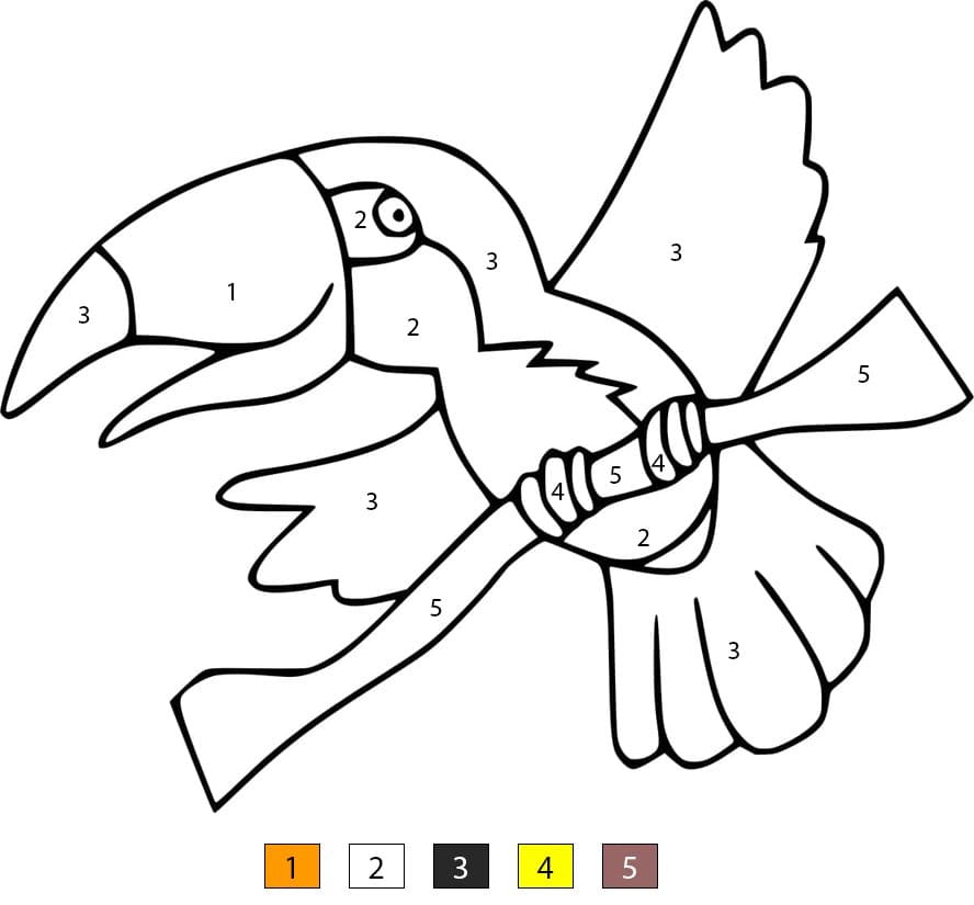 Basic Toucan Color By Number