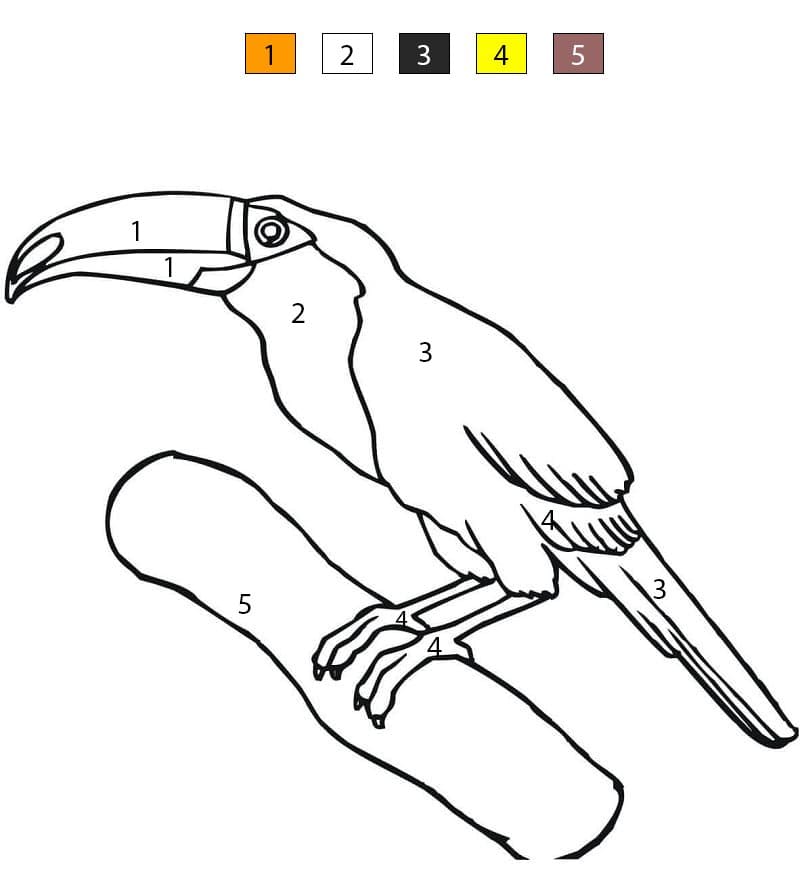 Free Toucan Color By Number