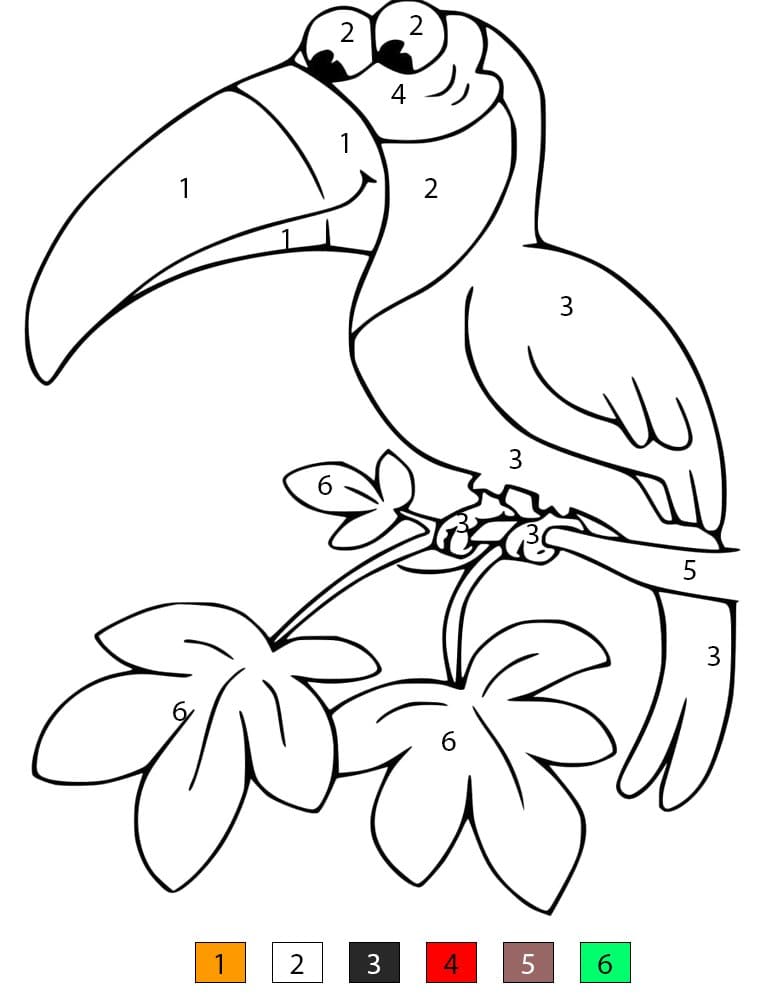 Funny Toucan Color By Number