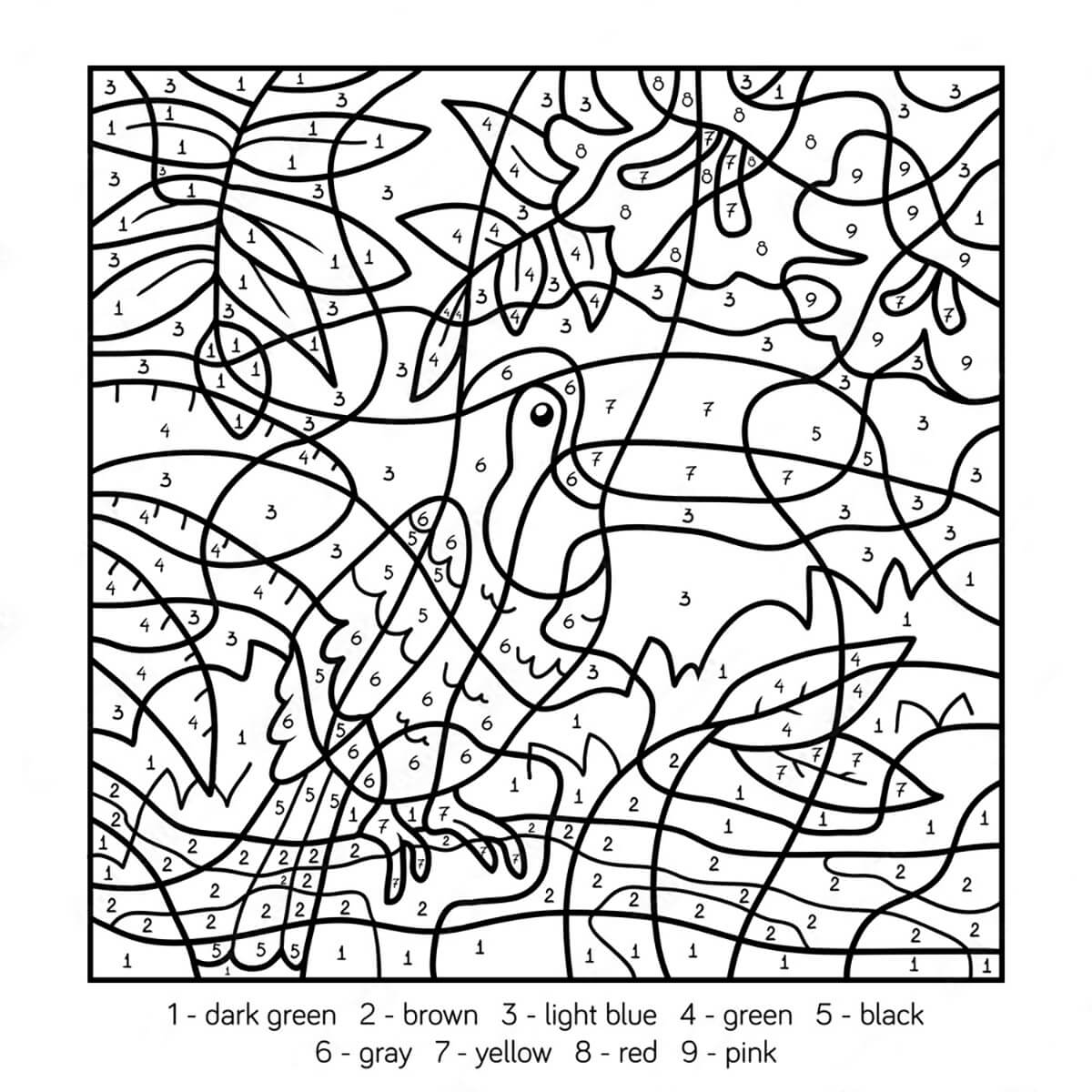 Hard Toucan Color by Numbers