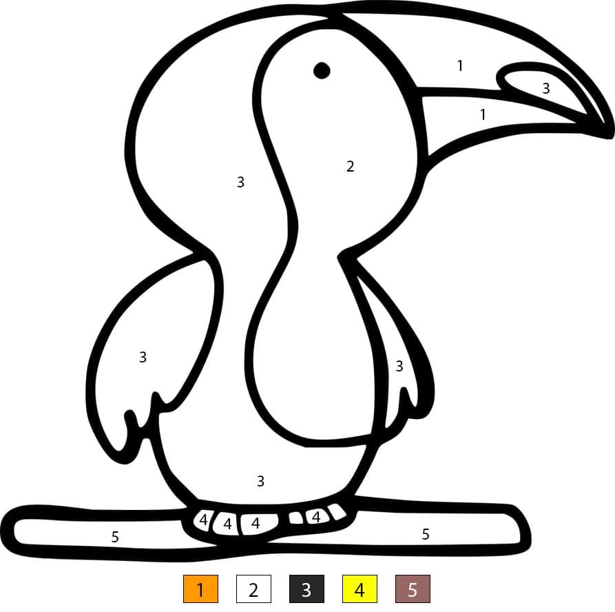Little Toucan Color By Number