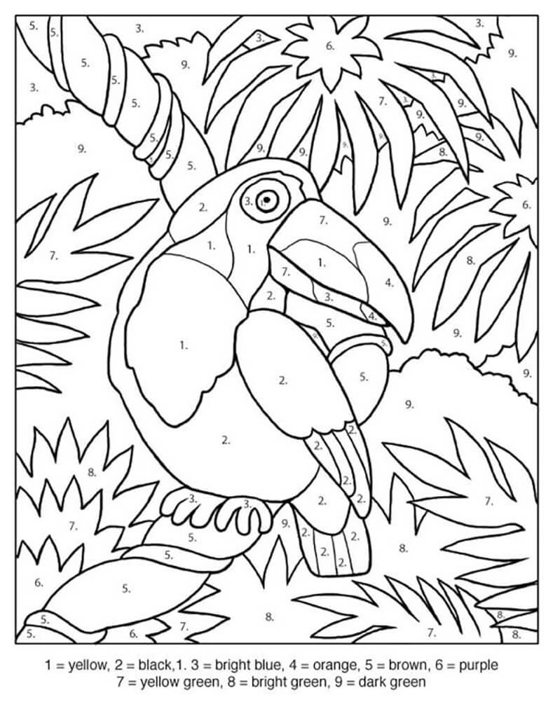Medium Toucan Color by Numbers