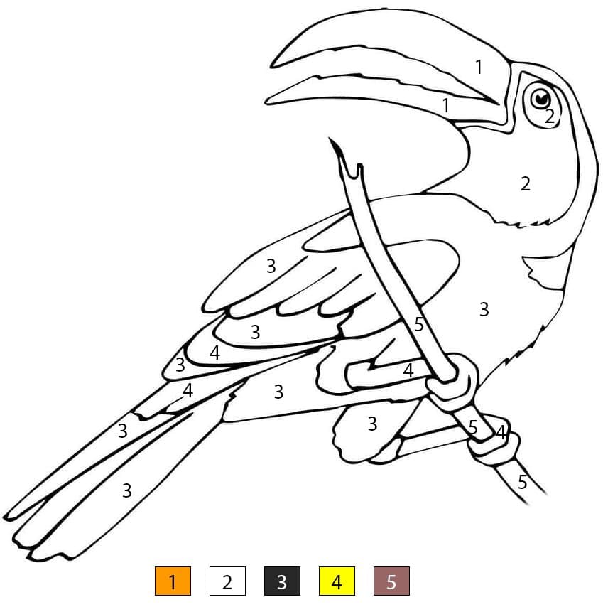 Perched Toucan Color By Number