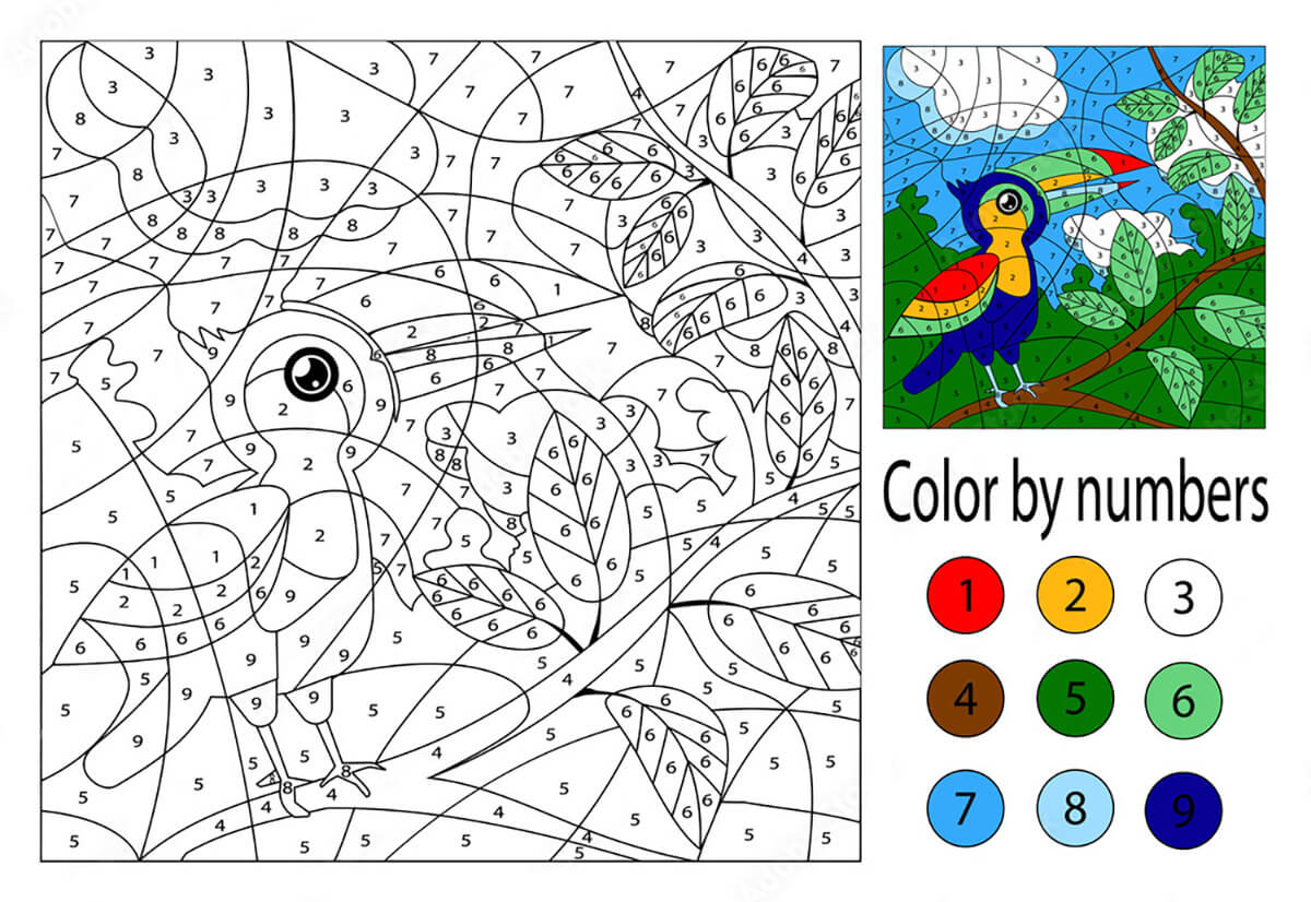 Printable Toucan Color by Number