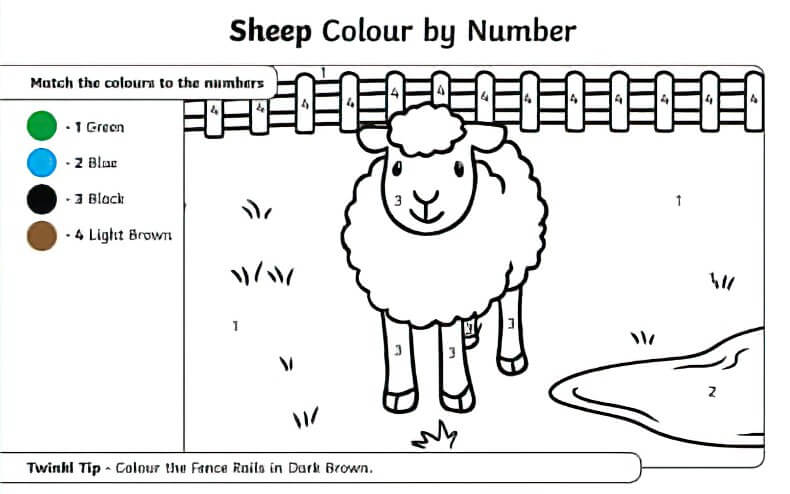 Sheep Colour by Number