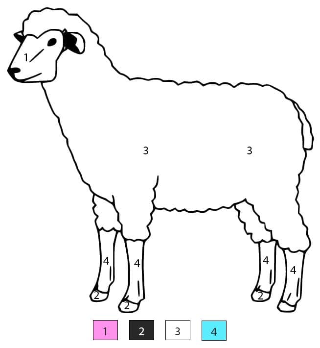Sheep For Children Color By Number