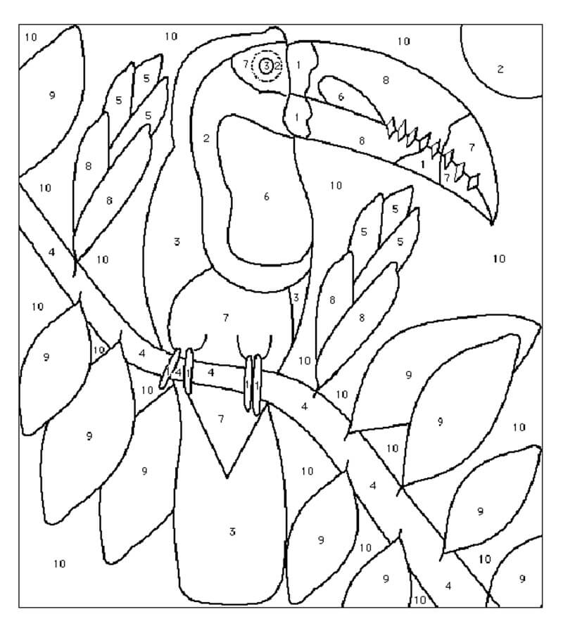 Toucan Bird Color by Number