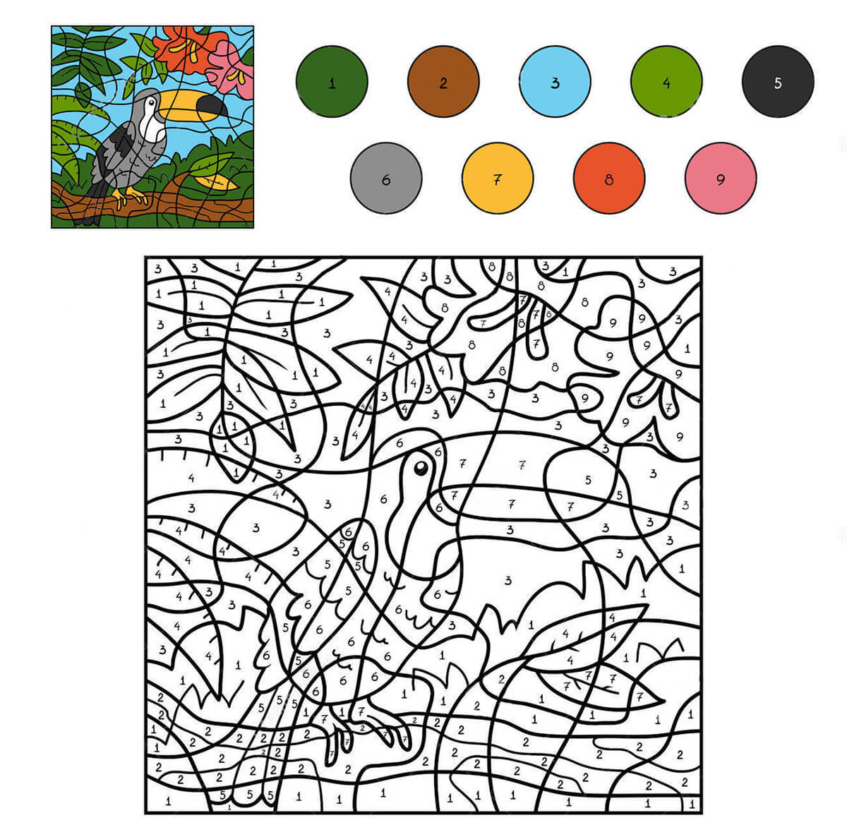 Toucan Color by Number for Kids
