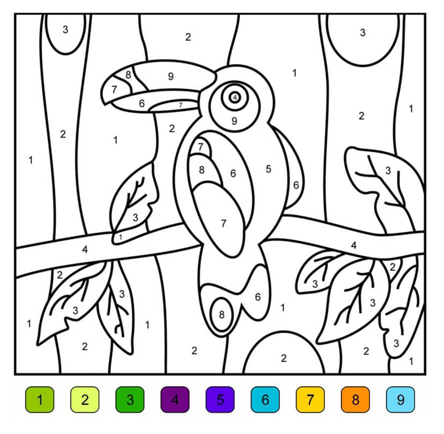 Toucan Color By Number