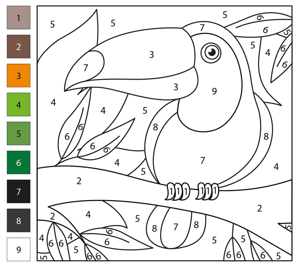 Toucan Free Color By Number