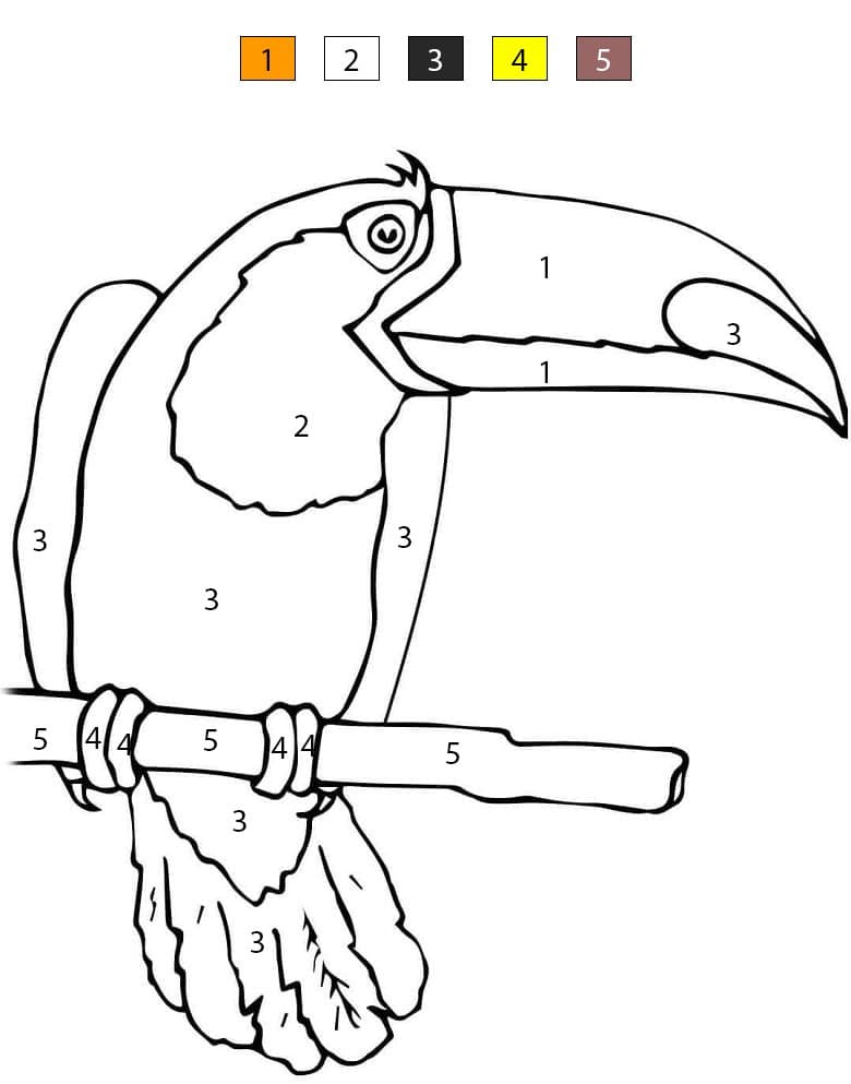 Toucan Image Color By Number