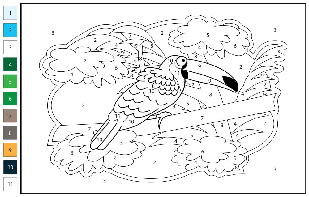 Toucan Nice Color By Number