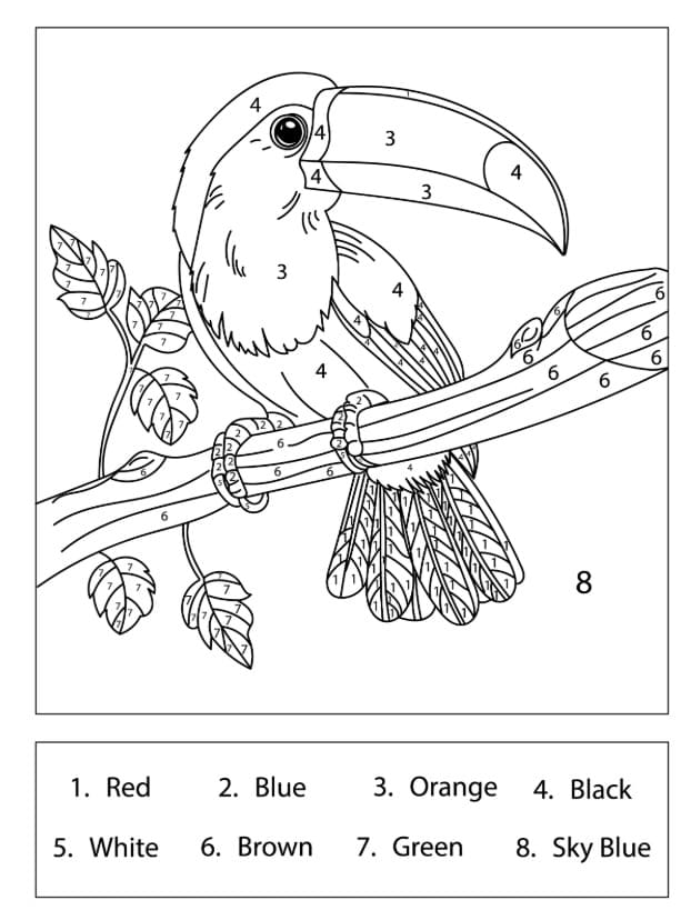 Toucan Print Color By Number
