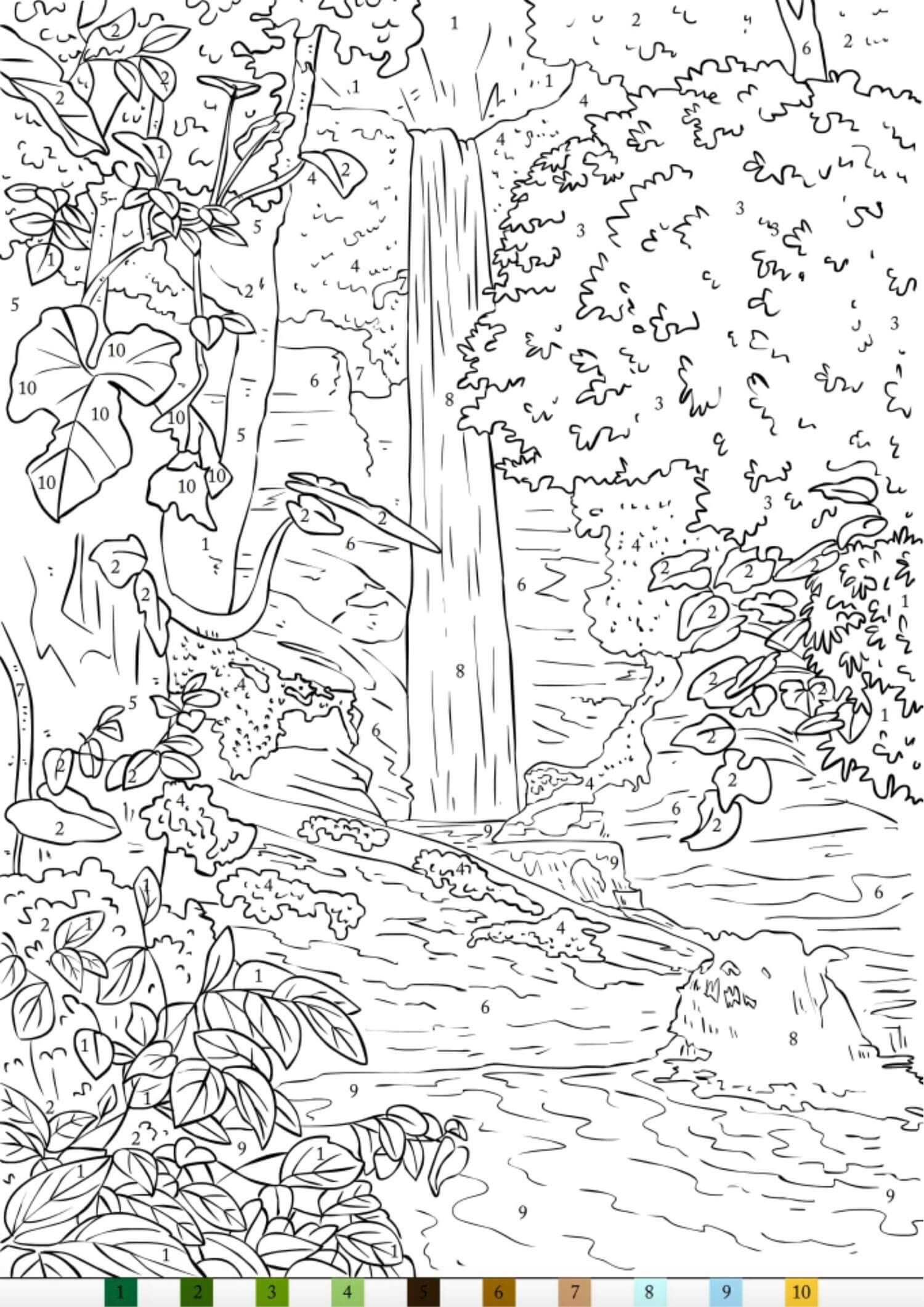 Forest Lanscape Color by Number