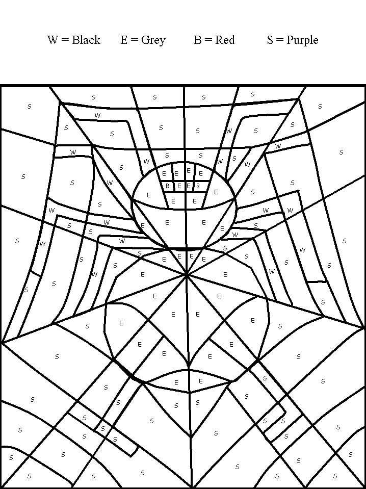Basic Spider Color By Number