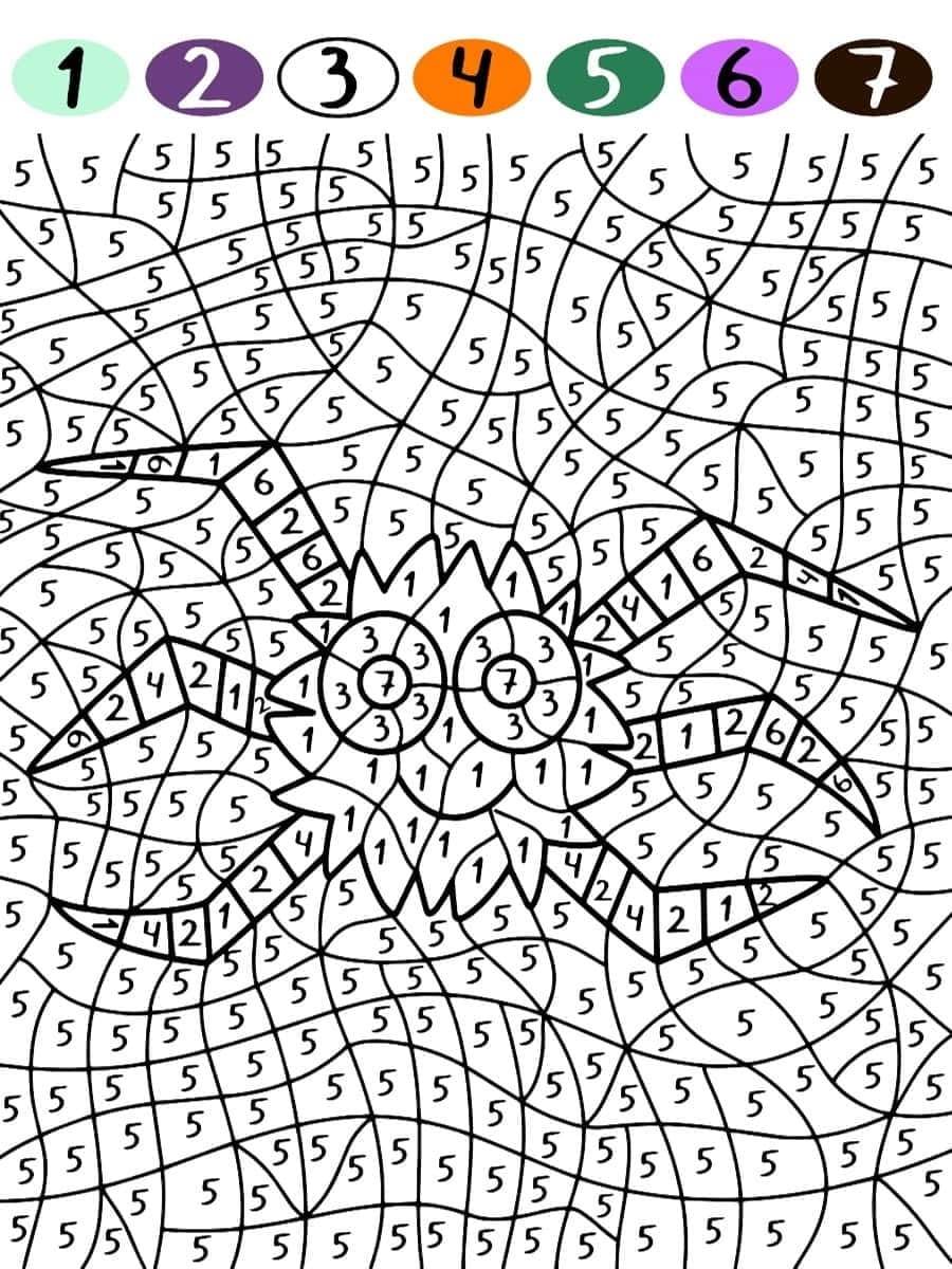 Free Spider Color By Number