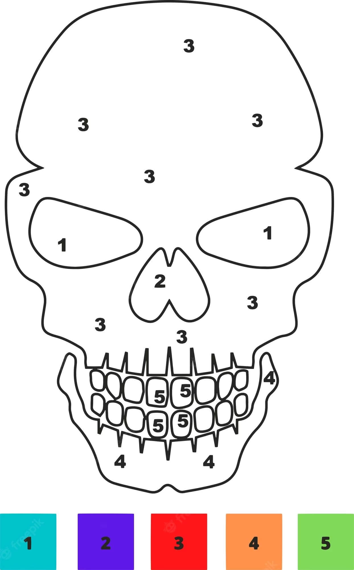 Awesome Sugar Skull Color By Number
