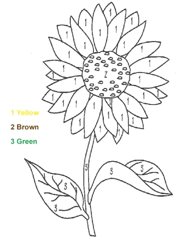 Sunflower Color By Number