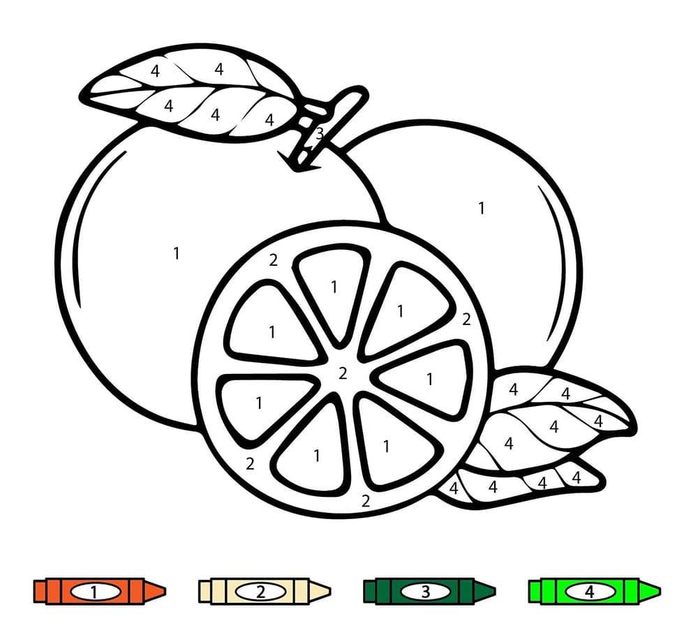 Orange Color By Number