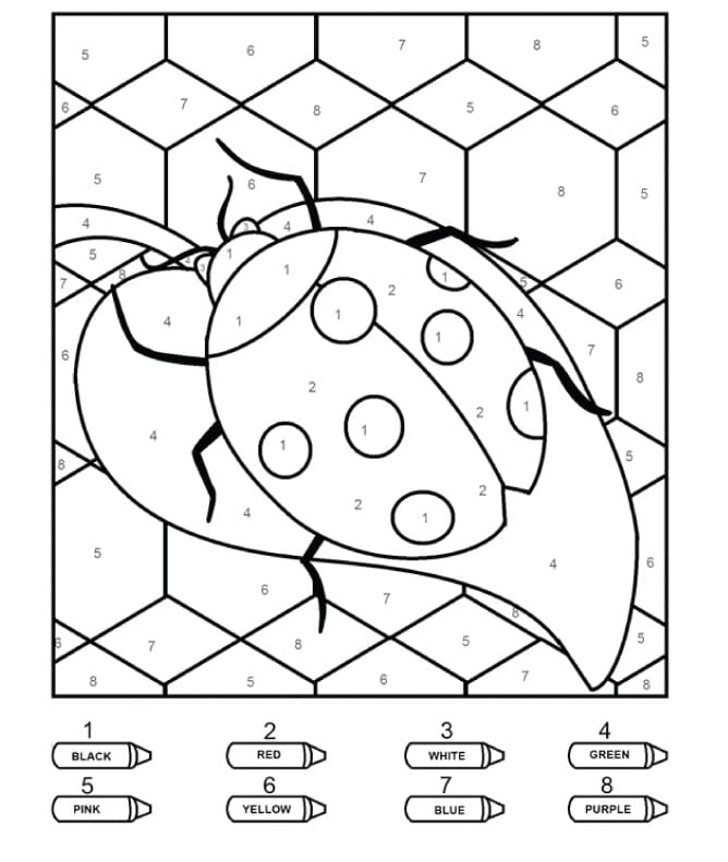 A Ladybug Color By Number