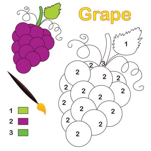 Easy Grapes Color By Number
