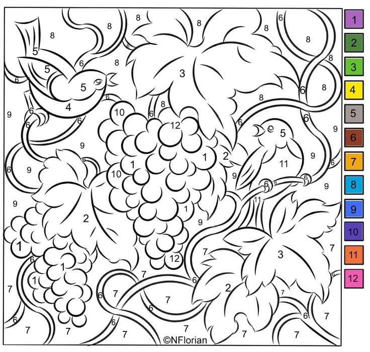 Free Grapes Color By Number