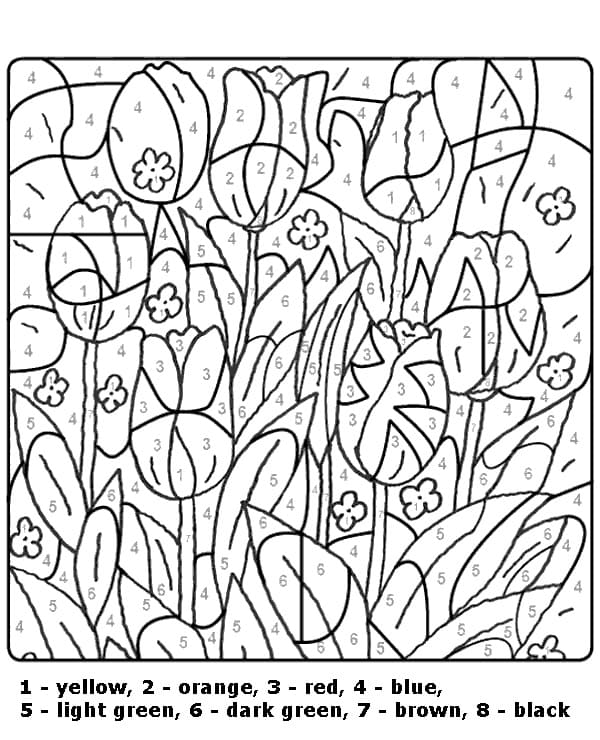 Free Tulip Color By Number