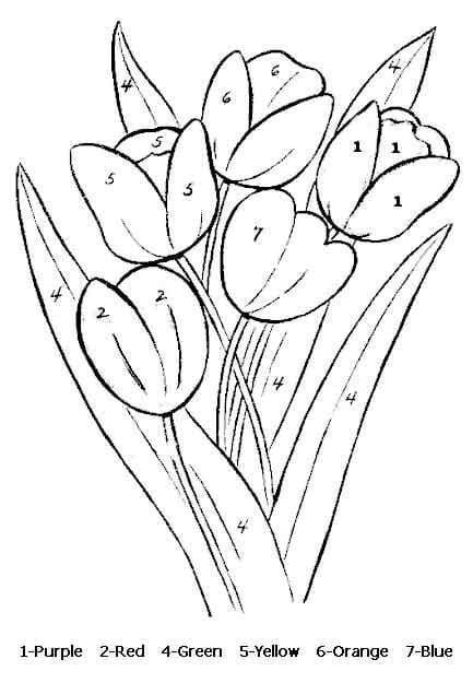 Perfect Tulip Color By Number