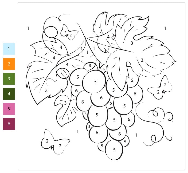 Printable Grapes Color By Number