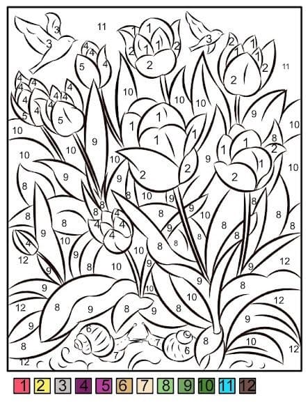 Printable Tulip Color By Number