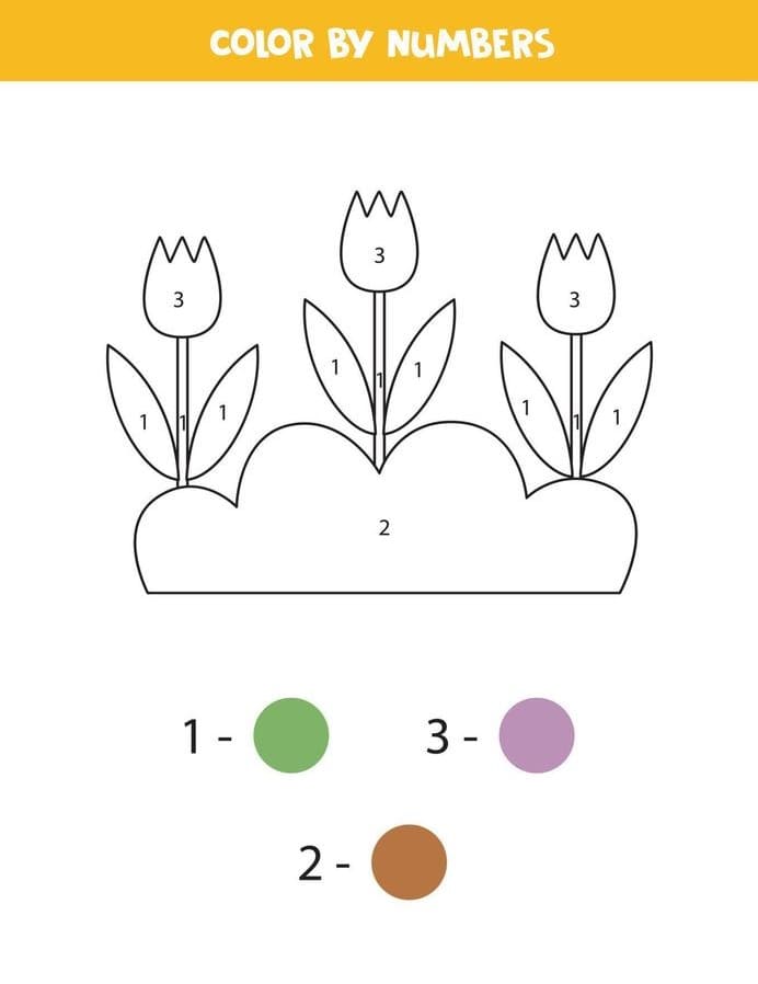 Tulip Color By Number