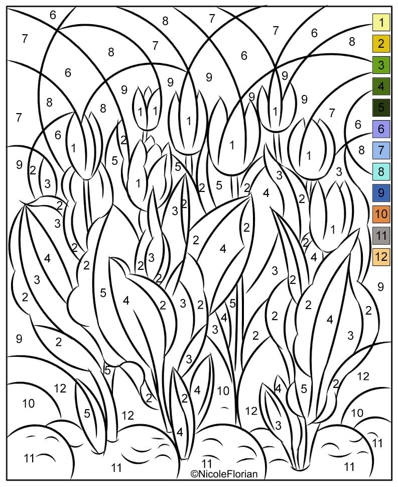 Tulip Color By Number Worksheet