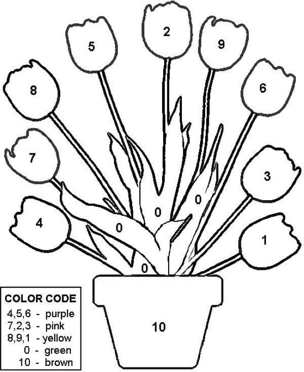 Tulip Pot Color By Number