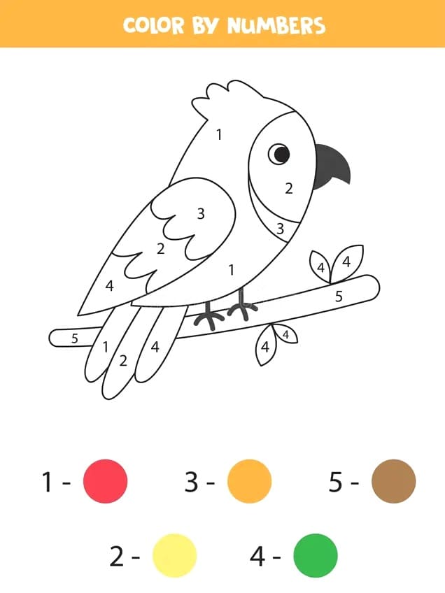 Adorable Parrot Color By Number