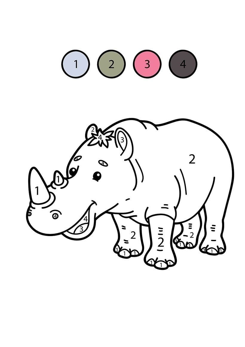 Rhino Color By Number