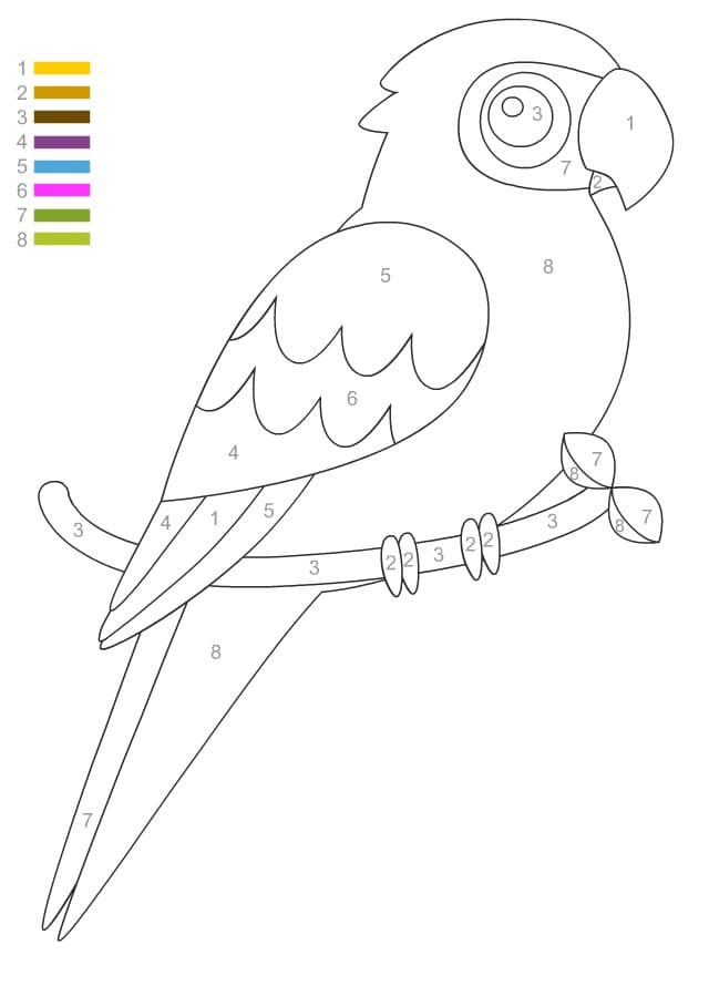Simple Parrot Color By Number