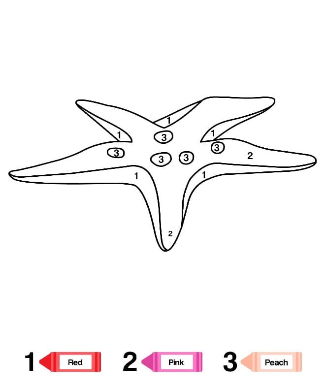 A Starfish Color By Number
